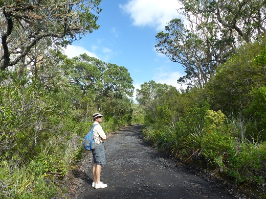 Randall on a crushed lava road on Rangitoto